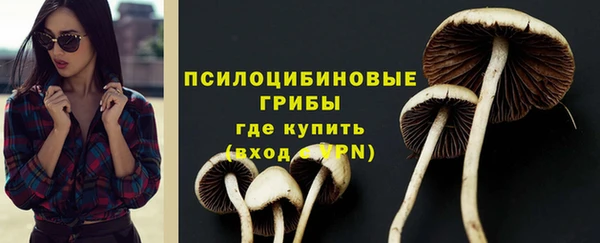 мяу мяу кристалл Няндома