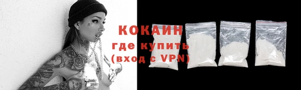 мяу мяу кристалл Няндома