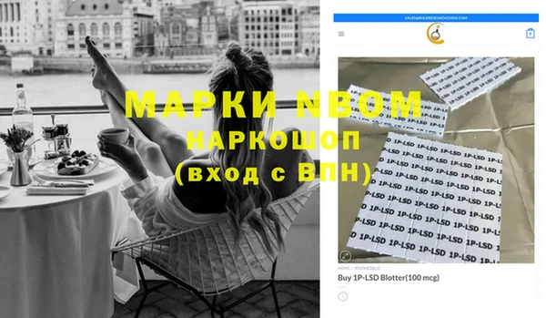 прущие грибы Новокубанск