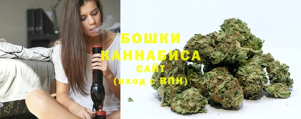 мяу мяу кристалл Няндома