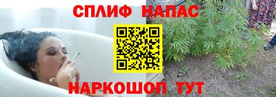 спайс Нальчик