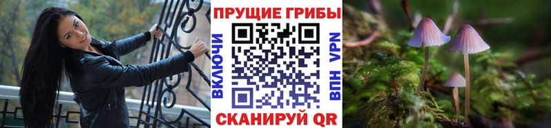Псилоцибиновые грибы мицелий  как найти закладки  Рязань 