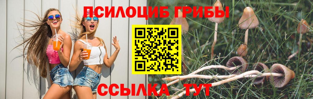 Псилоцибиновые грибы Cubensis  Псилоцибиновые грибы GOLDEN TEACHER  Вход с VPN  Рязань 